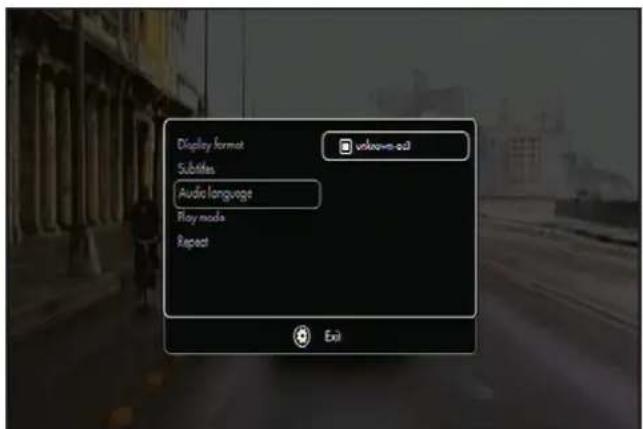 Display format Substites Audio language Play mode Repeat unknown oil Exit