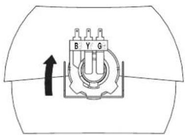 B Y G