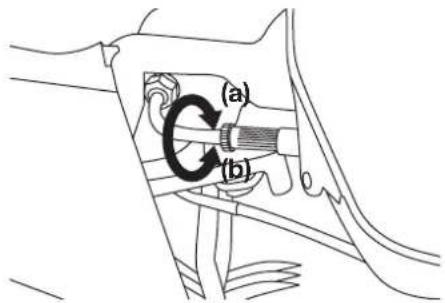 (a) (b)