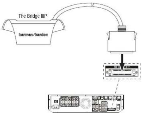 graph TD A["The Bridge IIIP"] --> B["Device"] B --> C["Data Port 1"] B --> D["Data Port 2"] B --> E["Data Port 3"] B --> F["Data Port 4"]