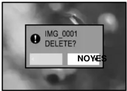 IMG_0001 DELETE? NOYES