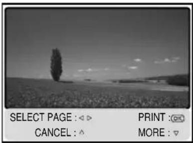 SELECT PAGE : ◀▶ CANCEL : ^ PRINT : ◎◀ MORE : ▼