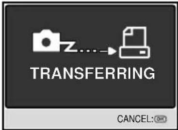TRANSFERRING CANCEL: CM