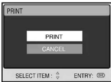 PRINT PRINT CANCEL SELECT ITEM : ENTRY: