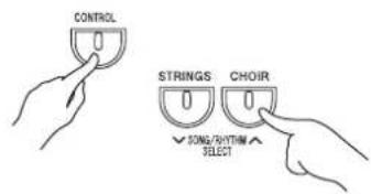 CONTROL STRINGS CHOIR ✓ SONG/RYTHAN SELECT