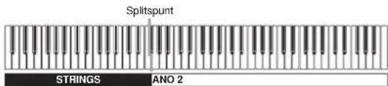 Splitspunt STRINGS ANO 2