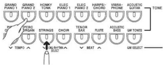 GRAND PIANO 1 GRAND PIANO 2 HONKY TONK ELEC PIANO 1 ELEC PIANO 2 HARPSI-CHORD VIBRA-PHONE ACOUSTIC GUITAR TONE PERC ORGAN STRINGS CHOIR TENOR SAX FLUTE ACOUSTIC BASS GM TONES TEMPO KING/RATHIN SELECT BEAT GM SELECT