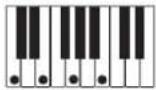 CASIO PX-500 - OPMERKING - 8