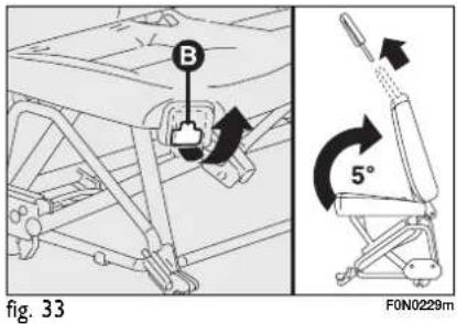 B 5° fig. 33 F0N0229m
