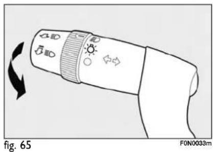 fig. 65 F0N0033m