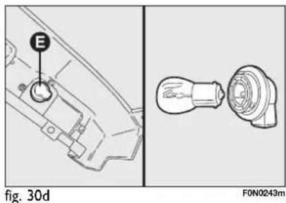 E fig. 30d F0N0243m