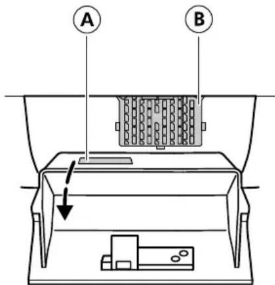A B