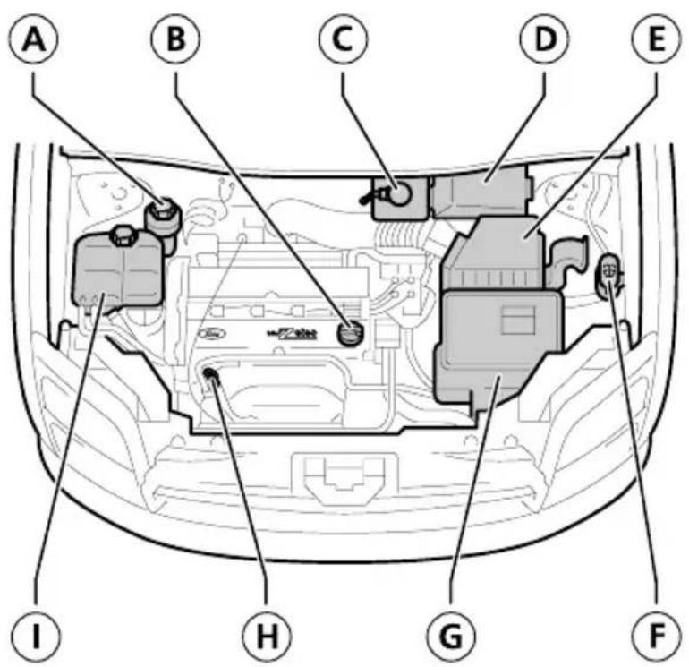 FORD Transit Connect (2003) - OVERZICHT MOTORRUIMTE - 1,8 L DURATEC-DOHC (ZETA) - 1