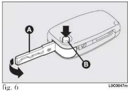 A B fig. 6 LOC0047m