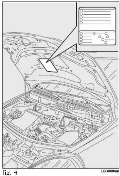 Fig. 4 LOC0004m