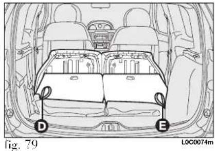 fig. 79 LOC0074m