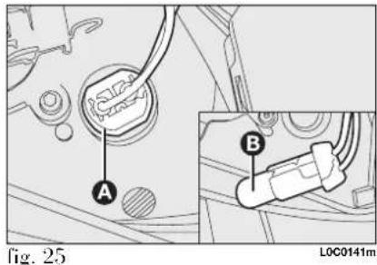 Fig. 25 A B LOC0141m