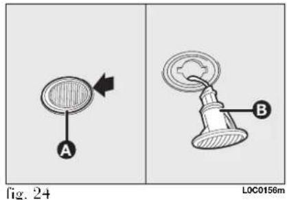 Fig. 24 LOC0156m