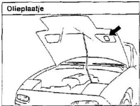 Olieplaatje