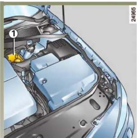 RENAULT Laguna (2005) - PEILEN (vervolg) - 1