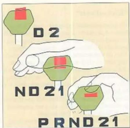 D2 ND21 PRND21