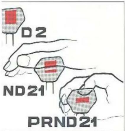 D2 ND21 PRND21