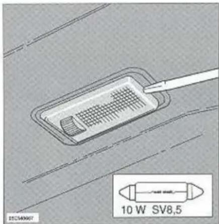 10 W SV8,5