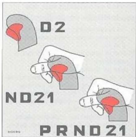 D2 ND21 PRND21