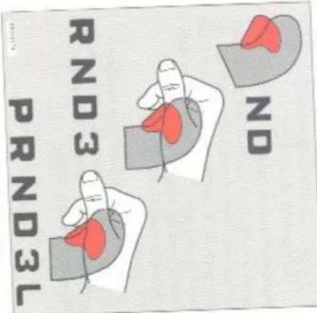 PND3 RND3 NO