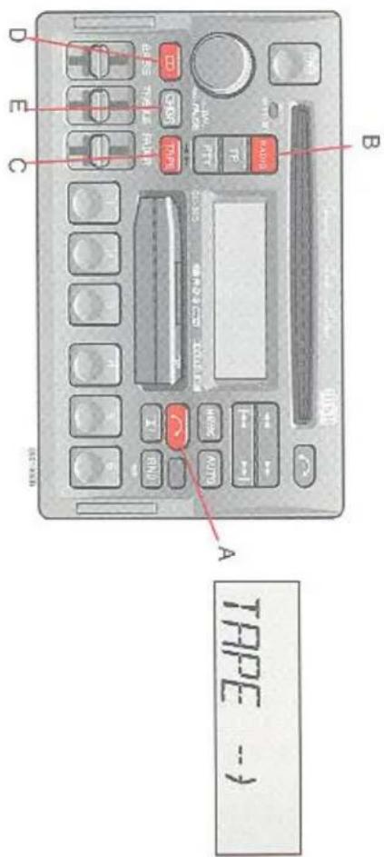 TPDCE -