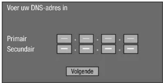Voer uw DNS-adres in Primair Secundair Volgende