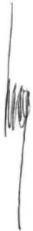 PowerPlus POW751 - CONFORMITEITSVERKLARING - 3