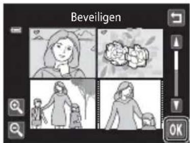 Beveiligen OK