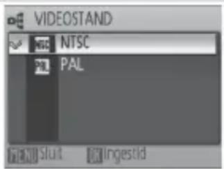 VIDEOSTAND NTSC PAL Sluit Ingestid