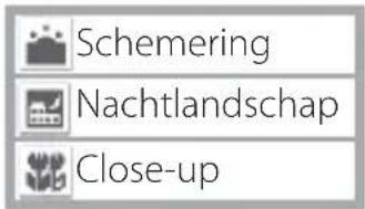 Schemering Nachtlandschap Close-up
