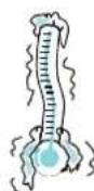 BAUKNECHT DMCG 7245 - AUTO DEFROST - 5