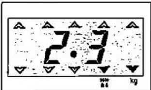 2·3 0.6 kg