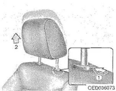 2 1 OED036073