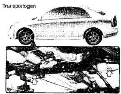 Transportogen
