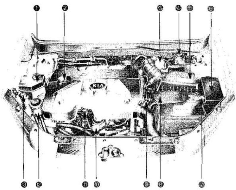 KIA Rio III - MOTORRUIMTE - 2