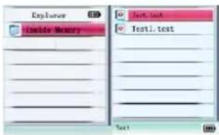 Explorer Inside Memory Text. Text Text1. text Text