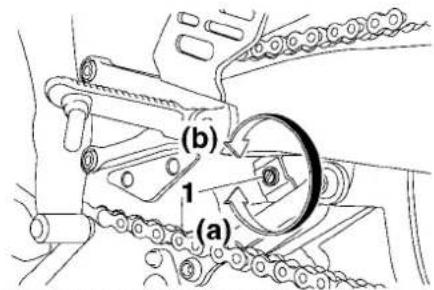 (b) 1 (a)