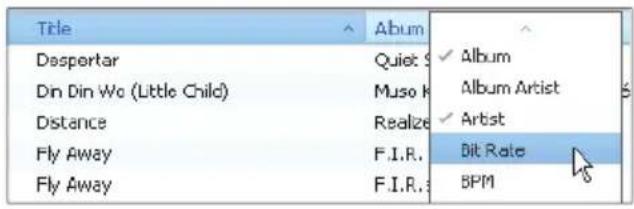 Title Despertar Din Din Wo (Little Child) Distance Fly Away Fly Away Album Quiet S Muso K Realze F.I.R. F.I.R. Album Album Artist Artist Bit Rate BPM