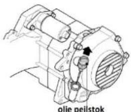 olle peilstok