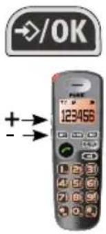 Fysic FX-5020 - MENUSTRUCTUUR - 1