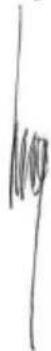 PowerPlus POWX0062LI - CONFORMITEITSVERKLARING - 3