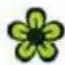 VOLKSWAGEN Up! (2011) - ⚠ WAARSCHUWING (vervolg) - 1