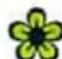 VOLKSWAGEN Up! (2011) - LET OP - 3