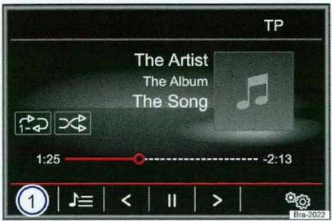 VOLKSWAGEN Discover Pro - LET OP - 1