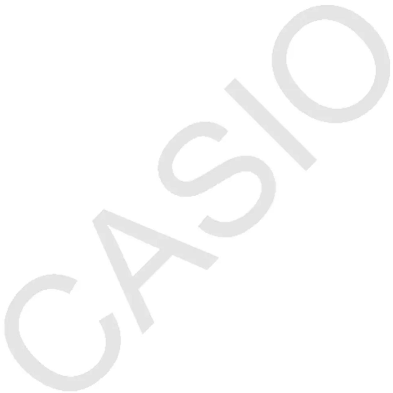 CASIO